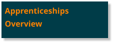 Apprenticeships Overview